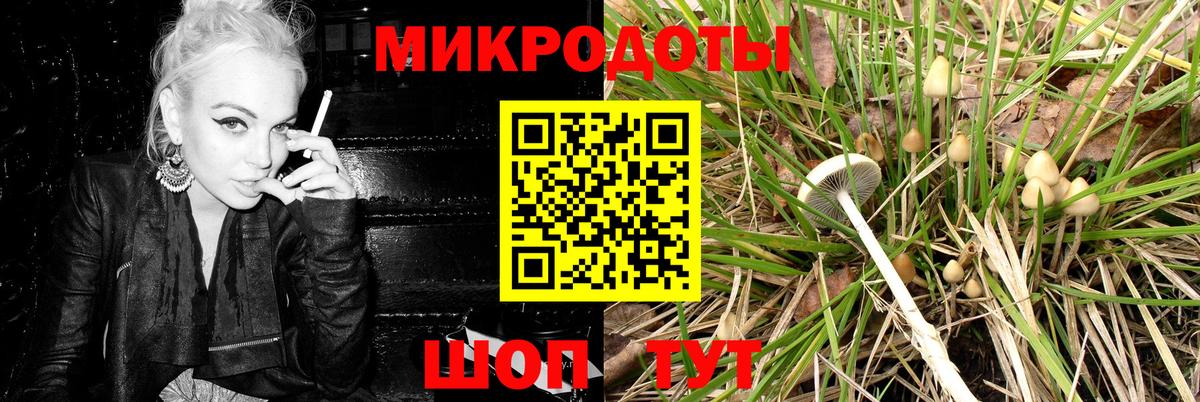 Псилоцибиновые грибы GOLDEN TEACHER Шали