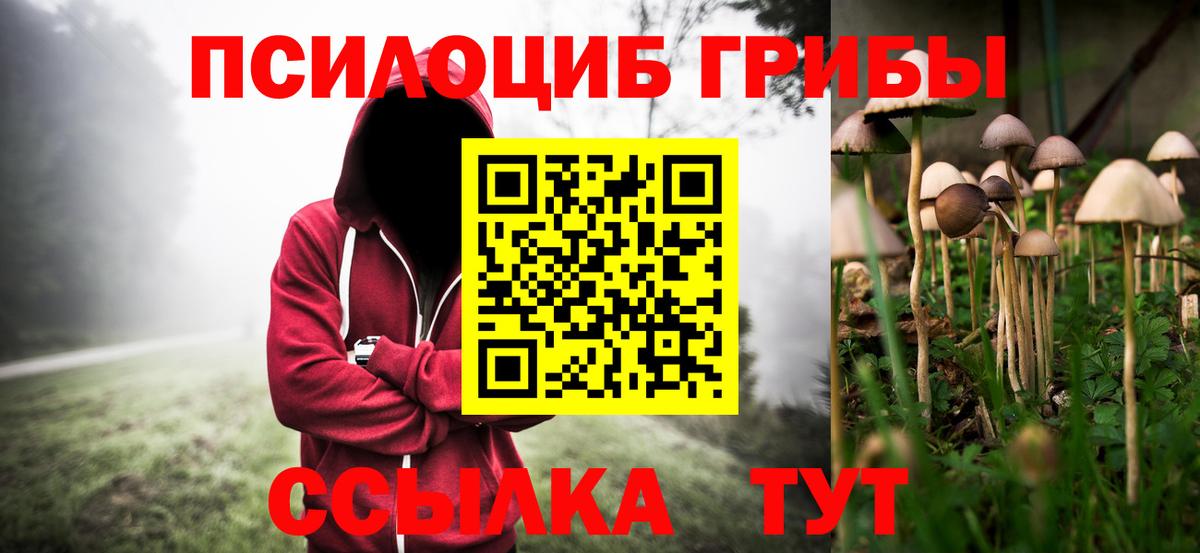 Галлюциногенные грибы GOLDEN TEACHER  Вход с VPN  Шали 